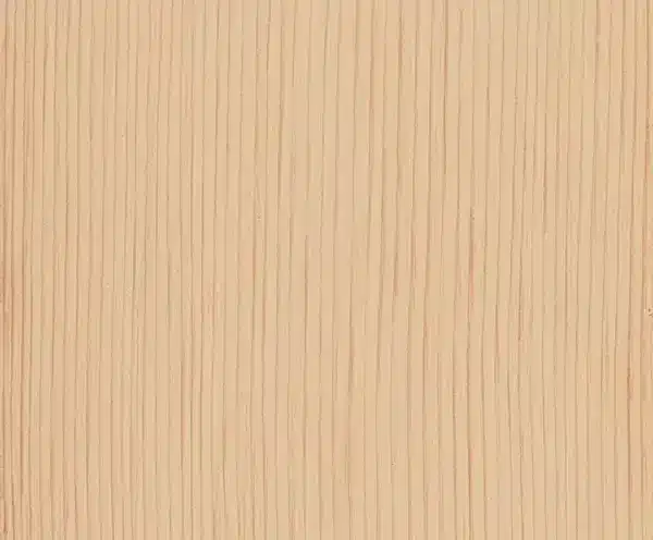 Exterior Door Stain Tumbleweed