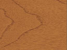 Exterior Door Stain Wild Flower Honey