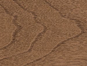 Exterior Door Stain Acorn