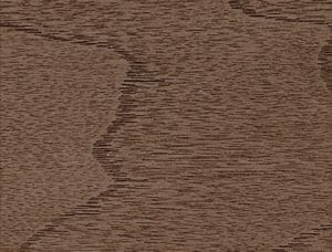 Exterior Door Stain Driftwood