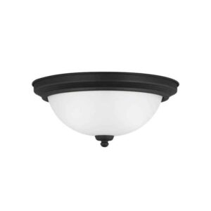 77064-112 Flush Mount 2-Bulb Kitchen Light in Midnight Black