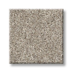 Cape Canaveral Tweed Fossil  00121