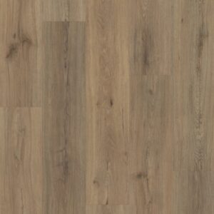 Shaw Endura Vinyl Plank 7089 Wild Dunes
