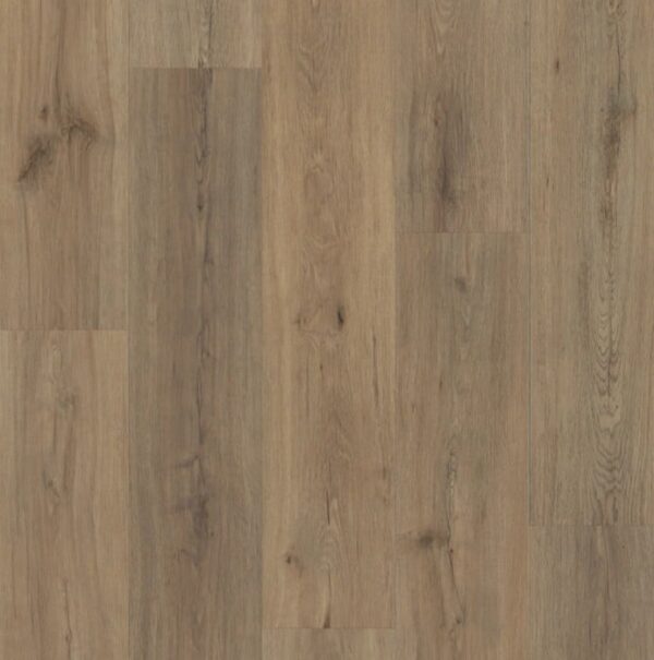 Shaw Endura Vinyl Plank 7089 Wild Dunes