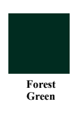 Exterior Color Forest Green
