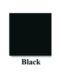 Interior Color Black