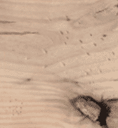 Fireplace Distressed Knotty Alder