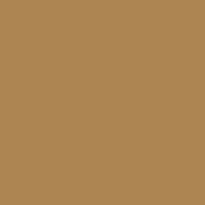 Exterior Door Paint Chamois