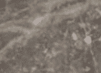 Fireplace Blue Tundra Marble