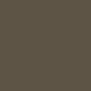 Wolf Artisan Earthstone